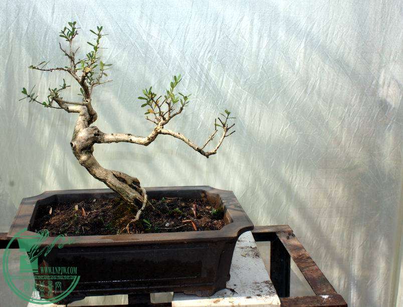 20141018 304.jpg