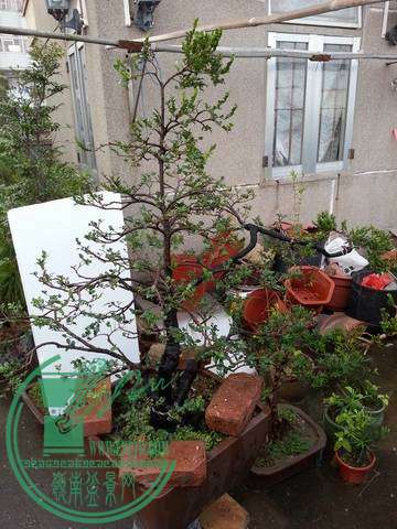 С ת 20141021_172000.jpg