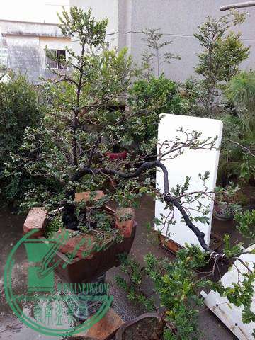 С ת 20141021_172010.jpg