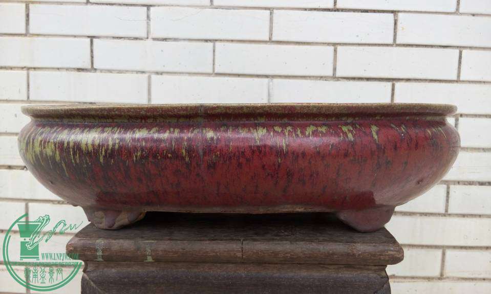 P41025-124309_С.jpg