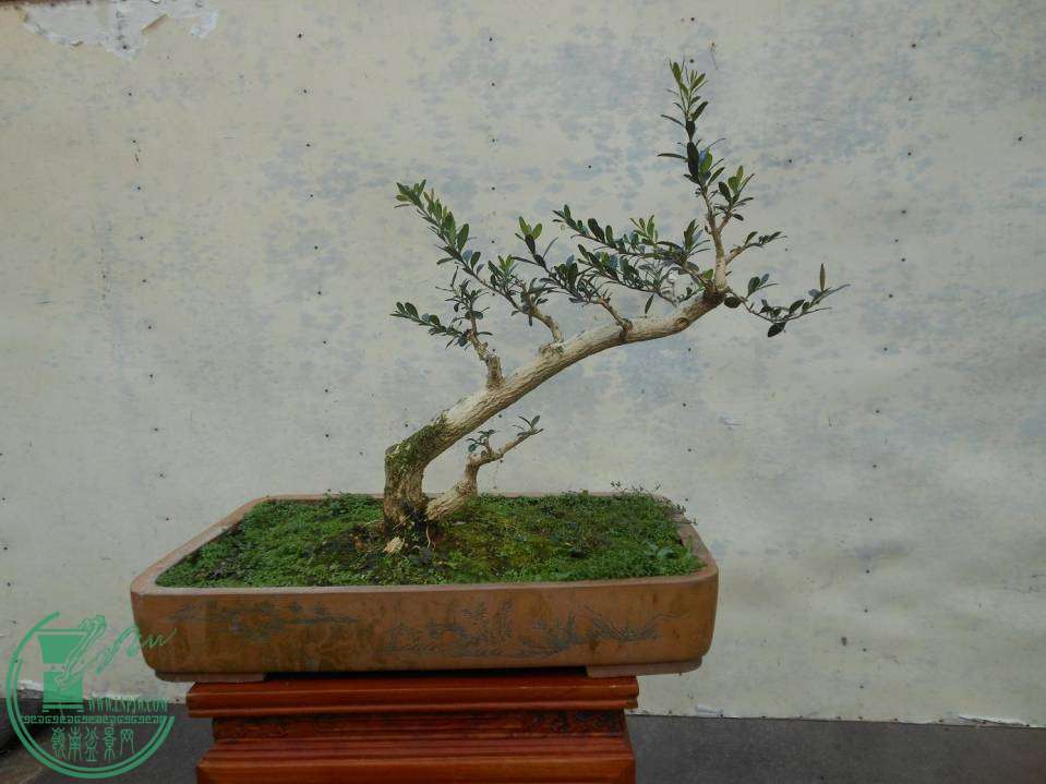 G004.JPG