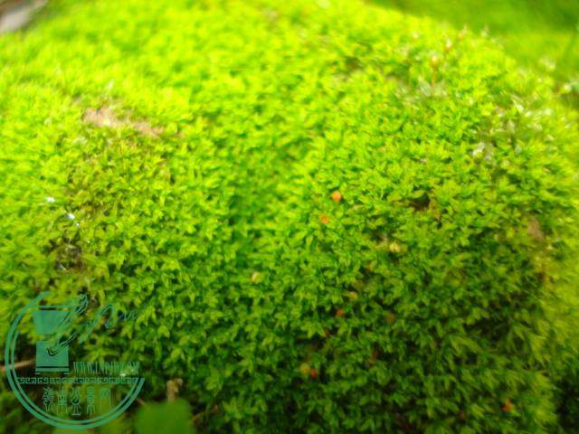 DSC01702.JPG