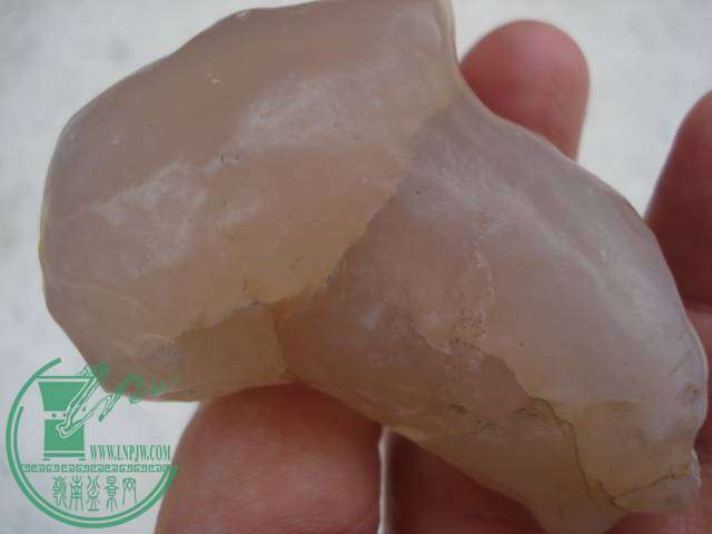 DSC01722.JPG