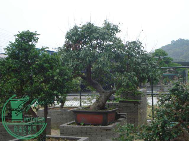 DSC01801.JPG