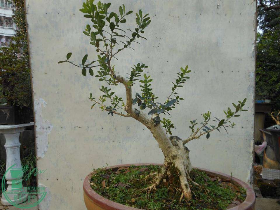 A010.JPG
