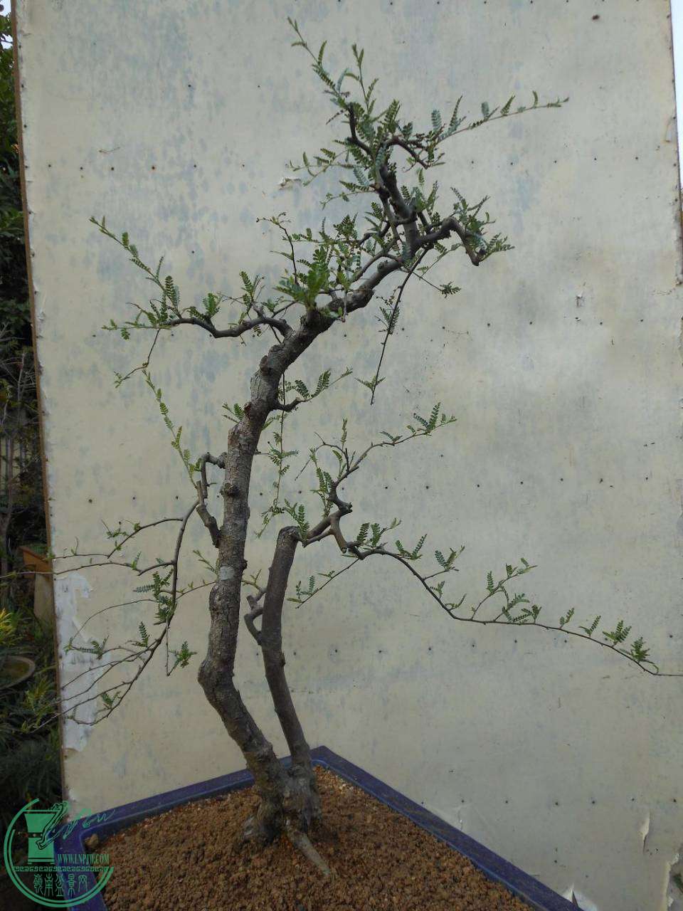 B004.JPG