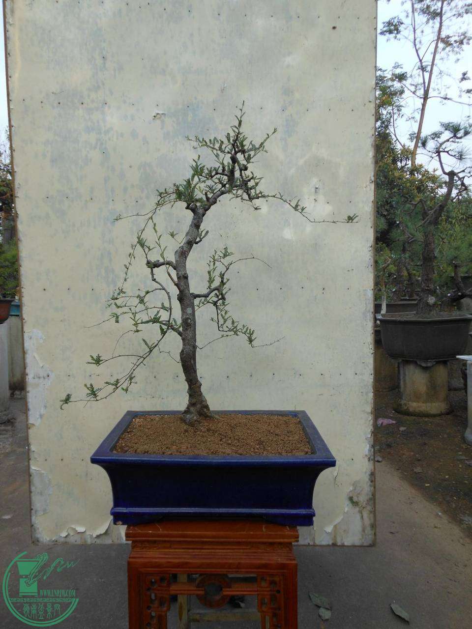 B001.JPG