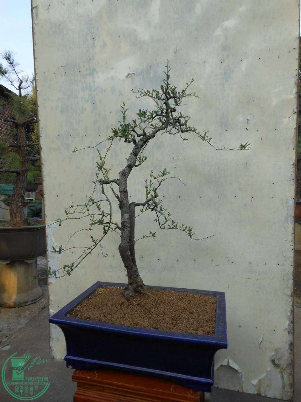 B002.JPG