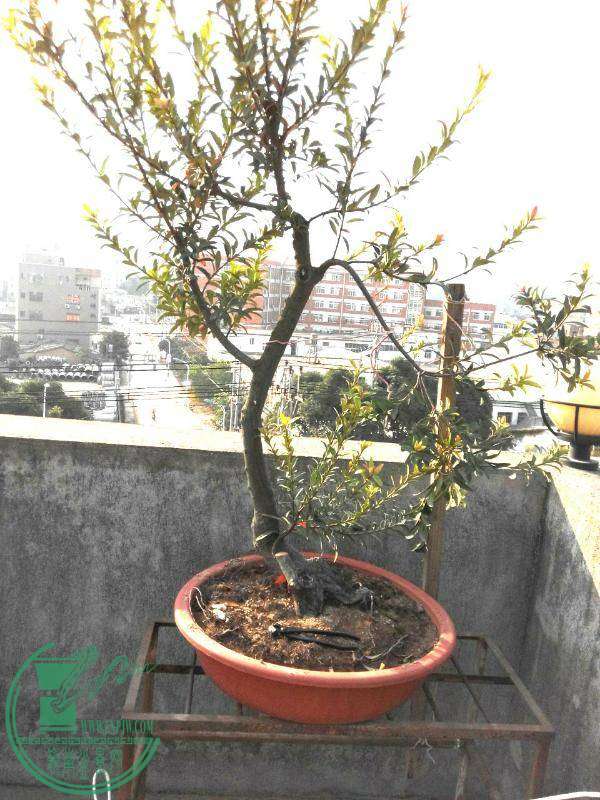 rps20141029_084955.jpg