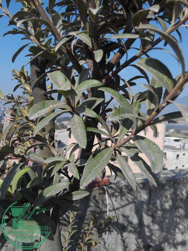 rps20141029_084102.jpg