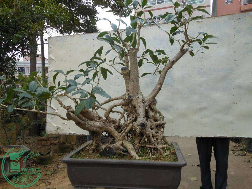 1.JPG