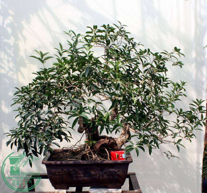 20141018 199.jpg