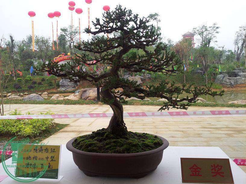 20141029_08431502.JPG