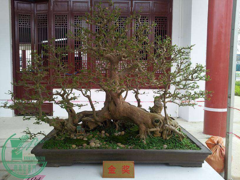 20141029_084607012.JPG