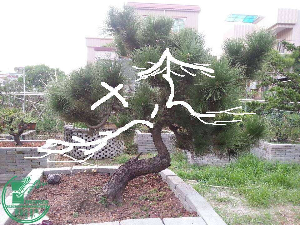 999.jpg
