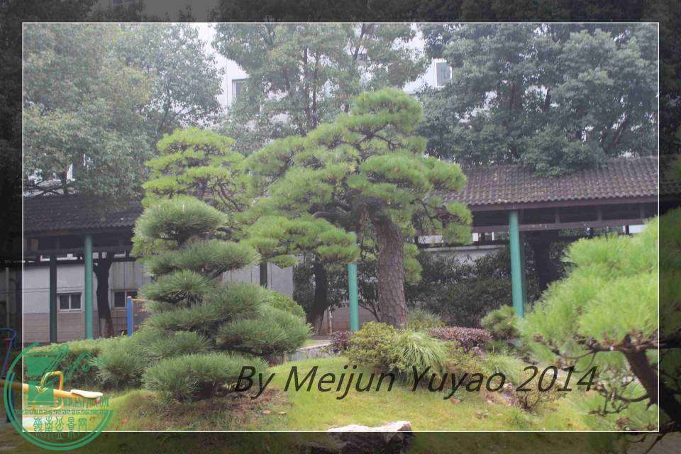 IMG_1316.JPG