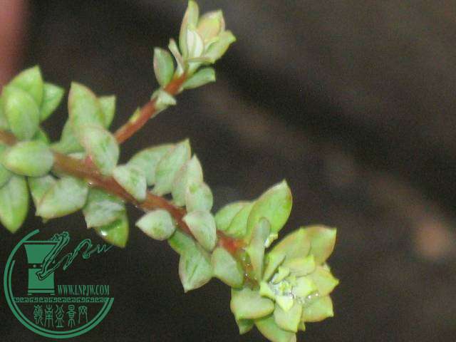 ԲҶ2.JPG