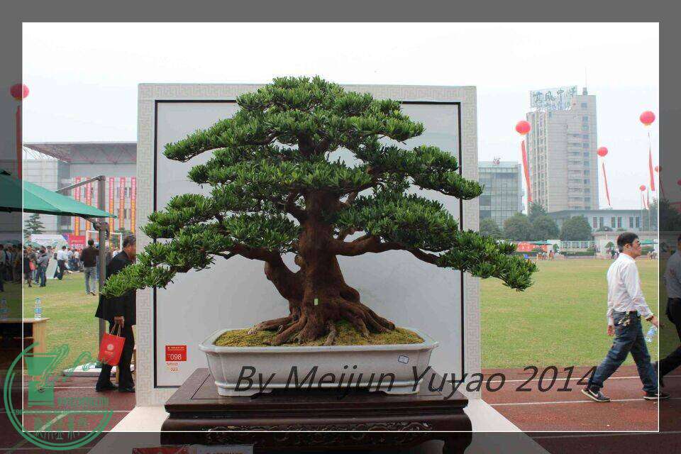 QQͼƬ20141031214024.jpg