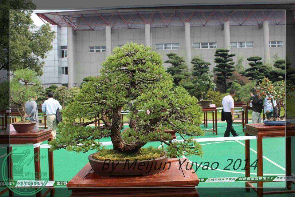 QQͼƬ20141031214237.jpg