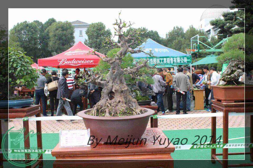 QQͼƬ20141031214249.jpg