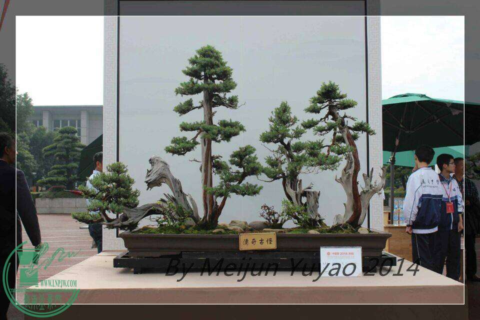 QQͼƬ20141031214656.jpg