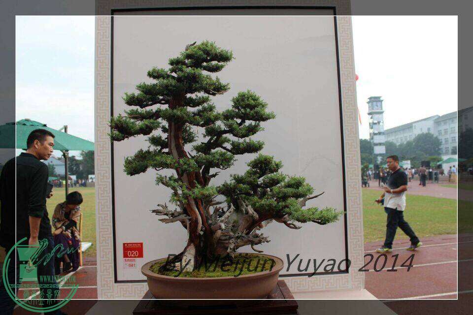 QQͼƬ20141031214737.jpg