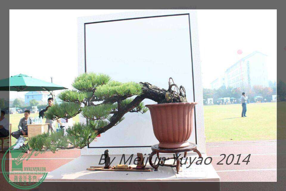 QQͼƬ20141031214834.jpg