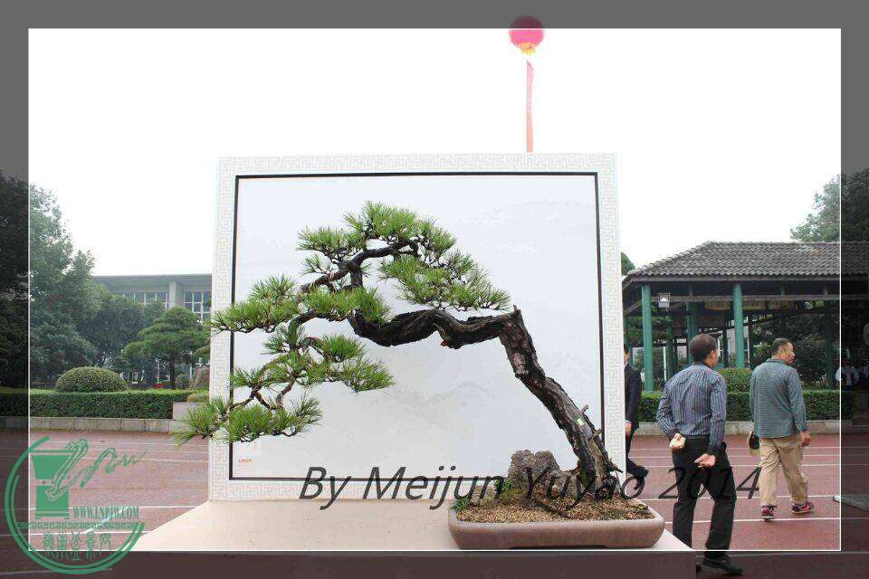 QQͼƬ20141031214925.jpg