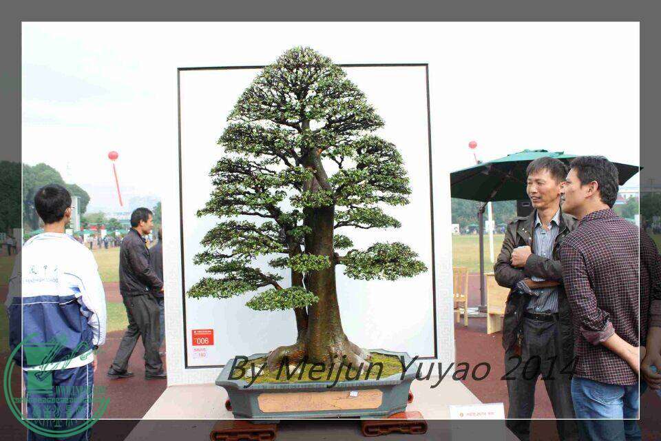 QQͼƬ20141031214947.jpg