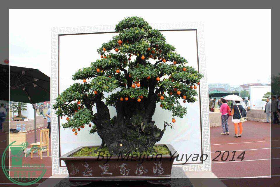 QQͼƬ20141031214956.jpg