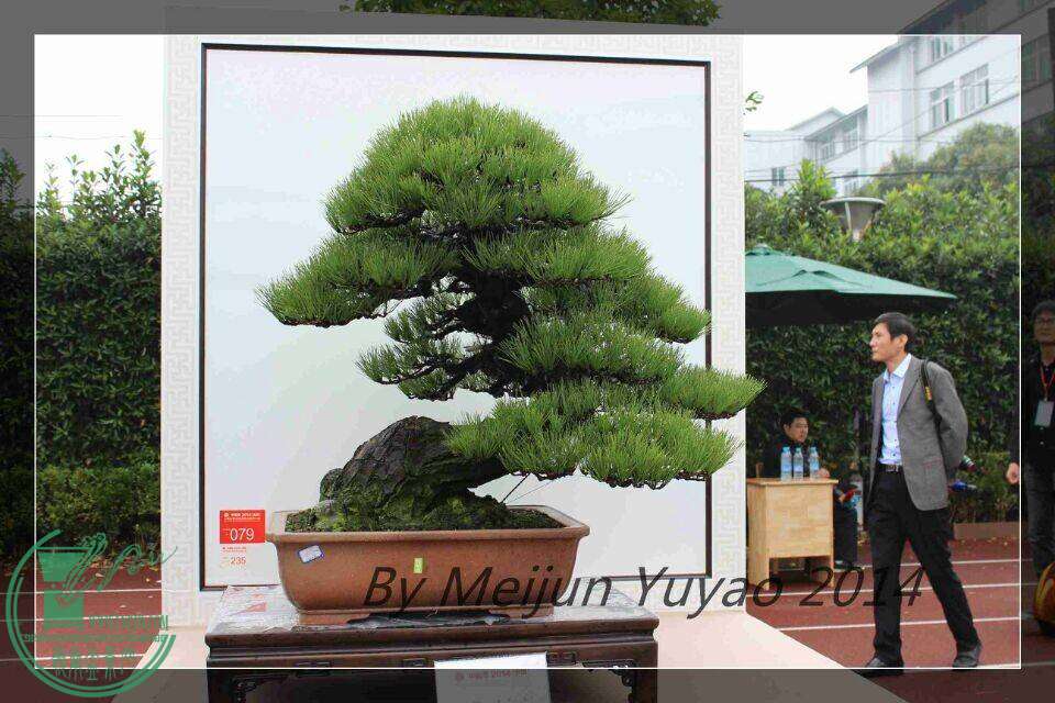 QQͼƬ20141031215141.jpg