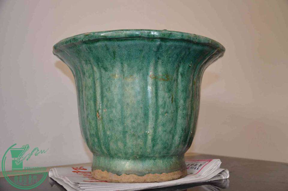 DSC_1264.jpg