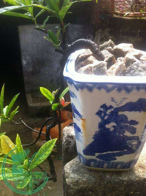 QQͼƬ20141101134157.jpg