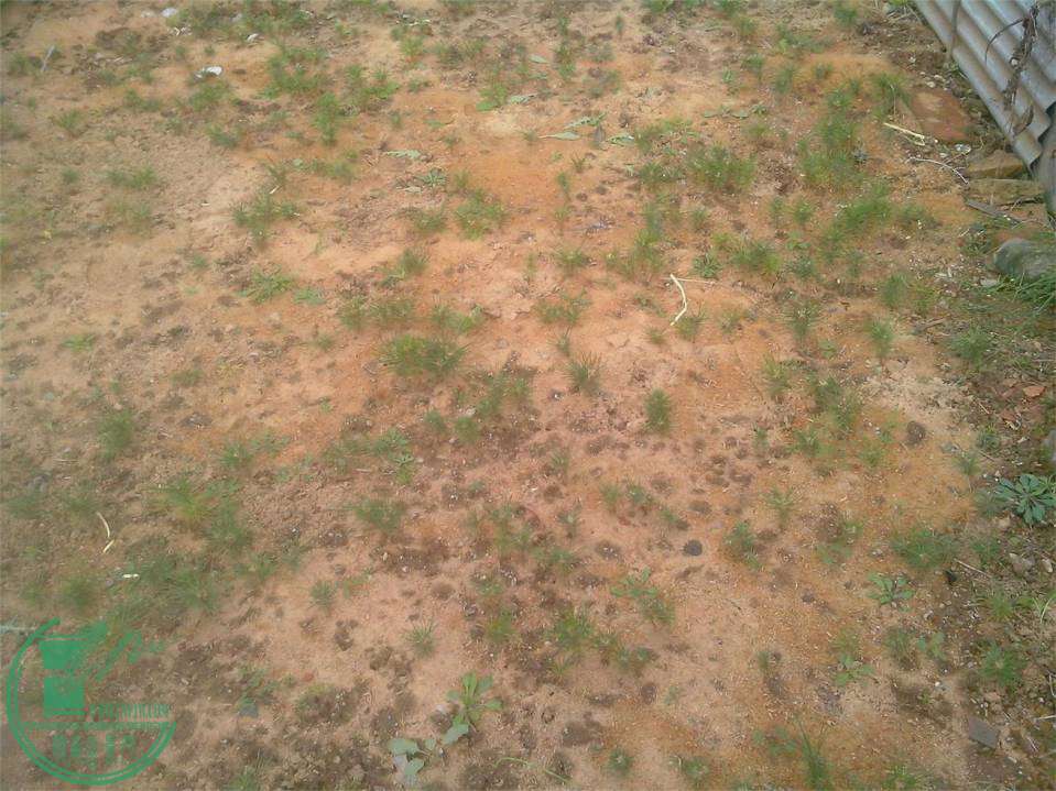 IMG20141102009.jpg