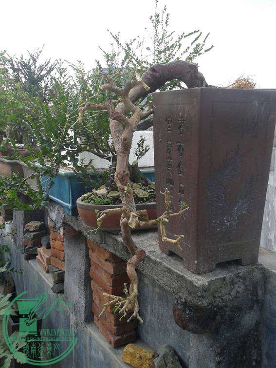 20141101_110407.jpg