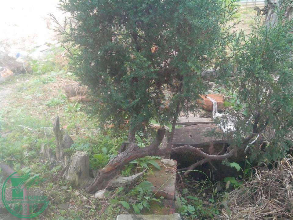 IMG20141102005.jpg