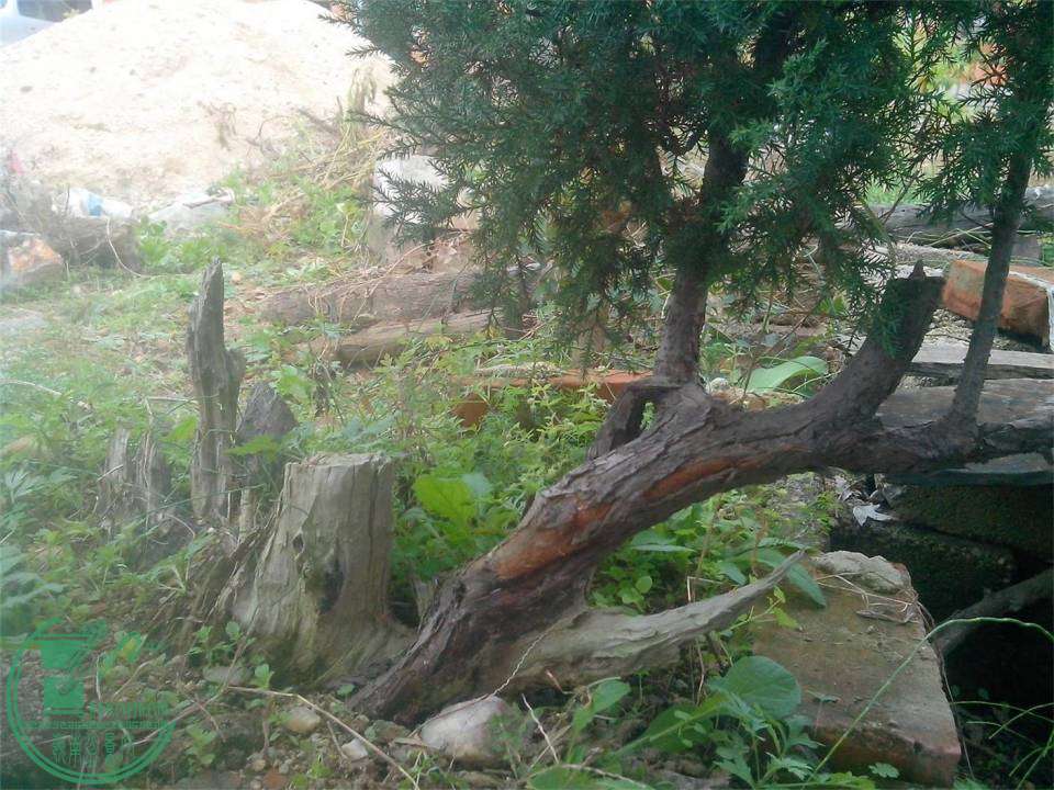 IMG20141102006.jpg