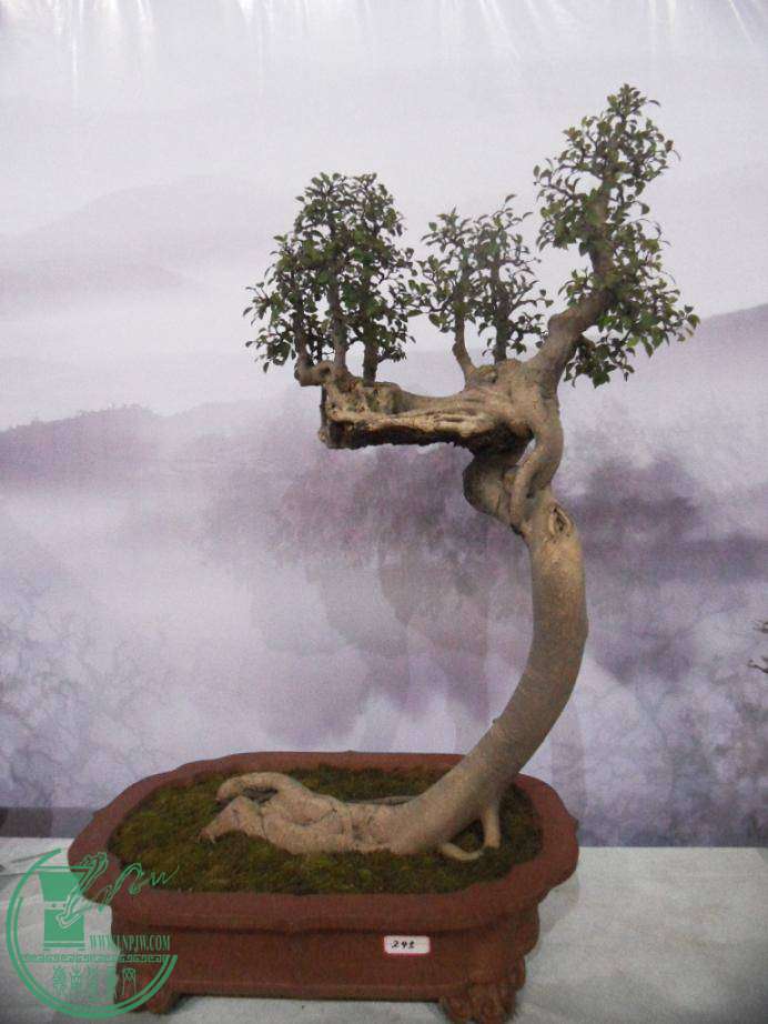 8.JPG