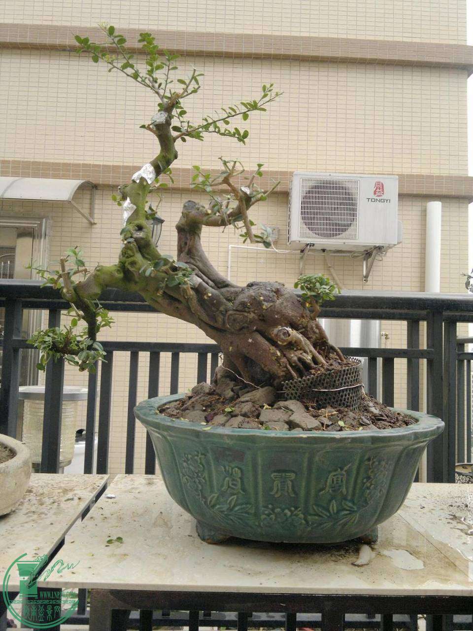201411022259.jpg
