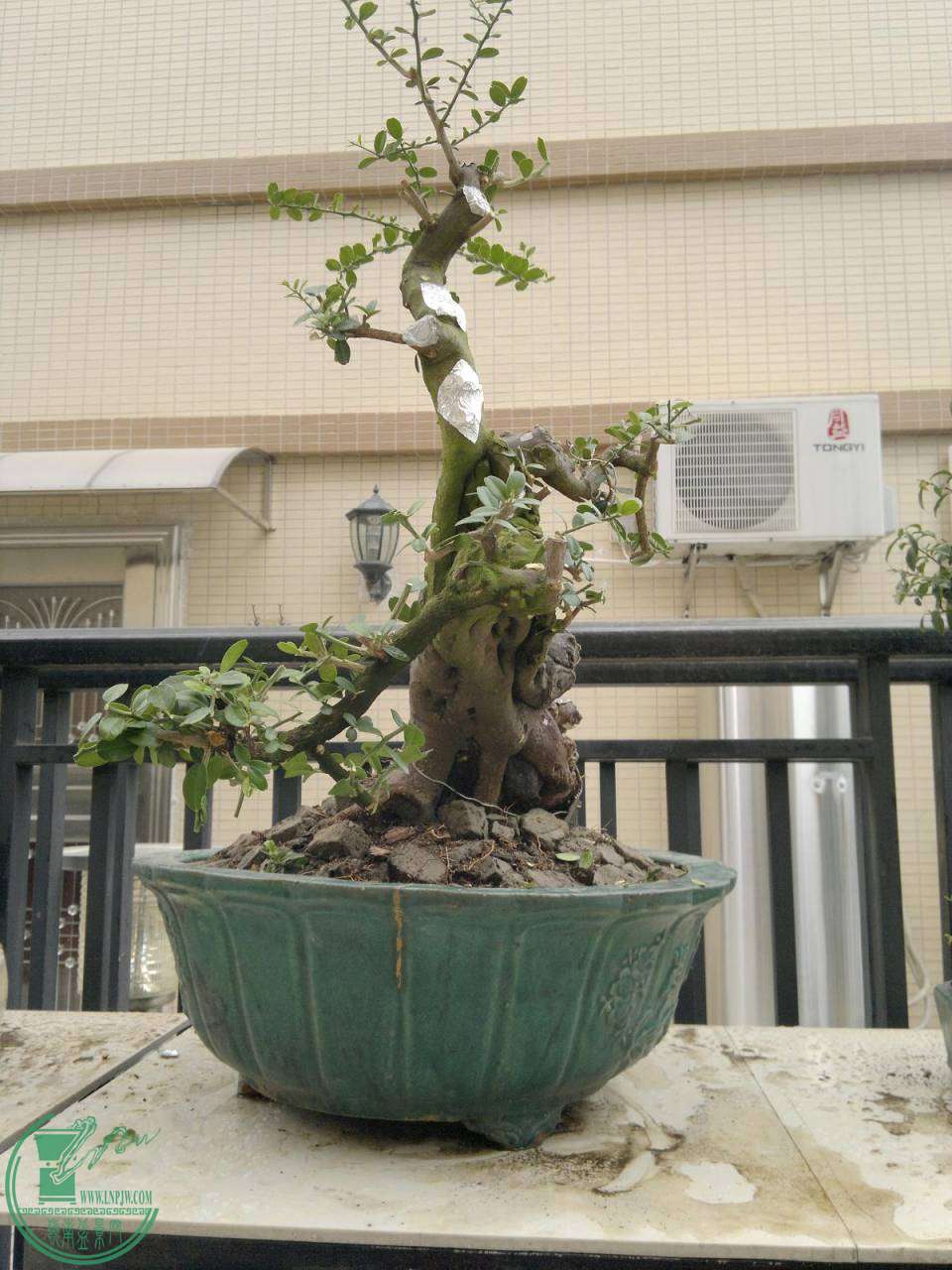 201411022260.jpg