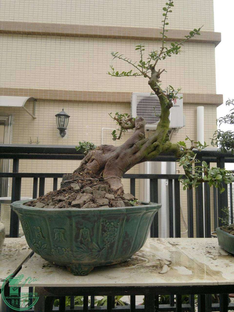 201411022261.jpg