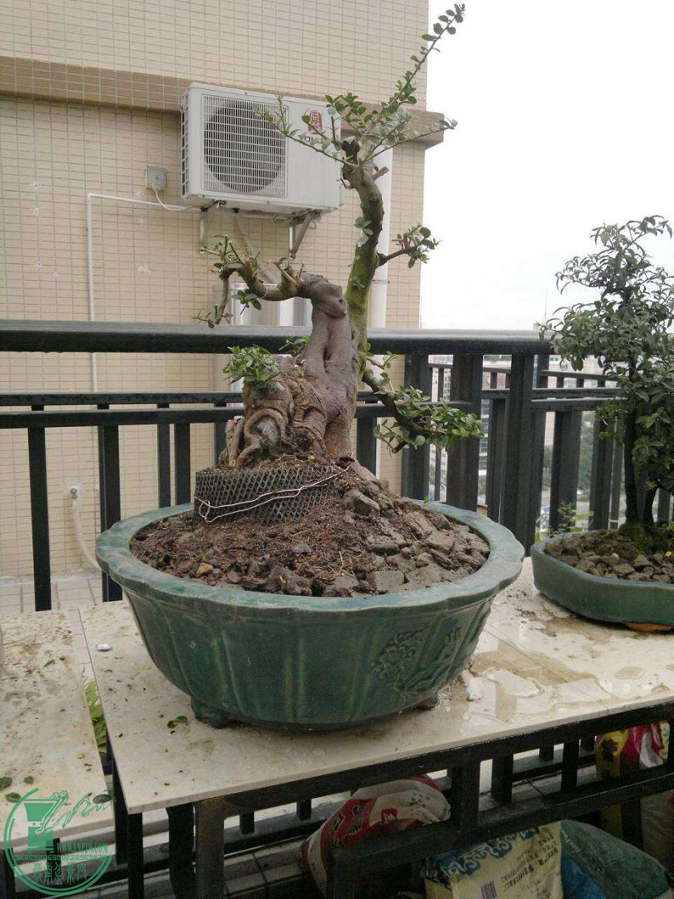 201411022262.jpg