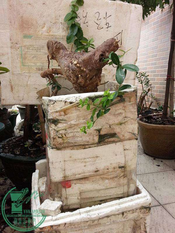 20141109_103714.jpg