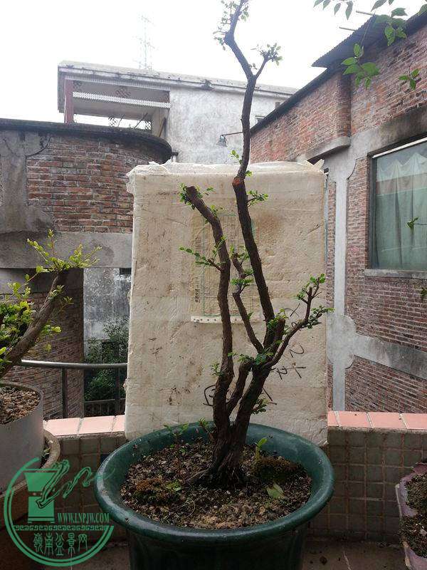 20141109_100137.jpg