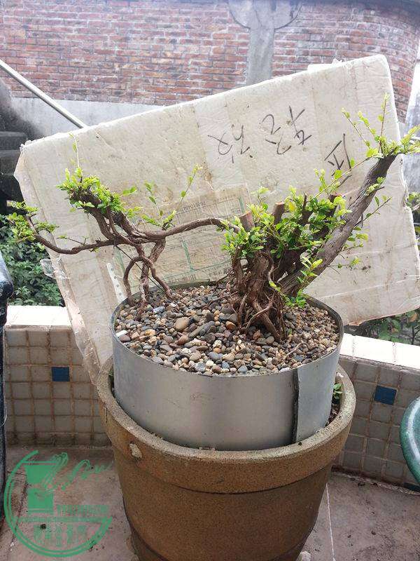 20141109_100405.jpg