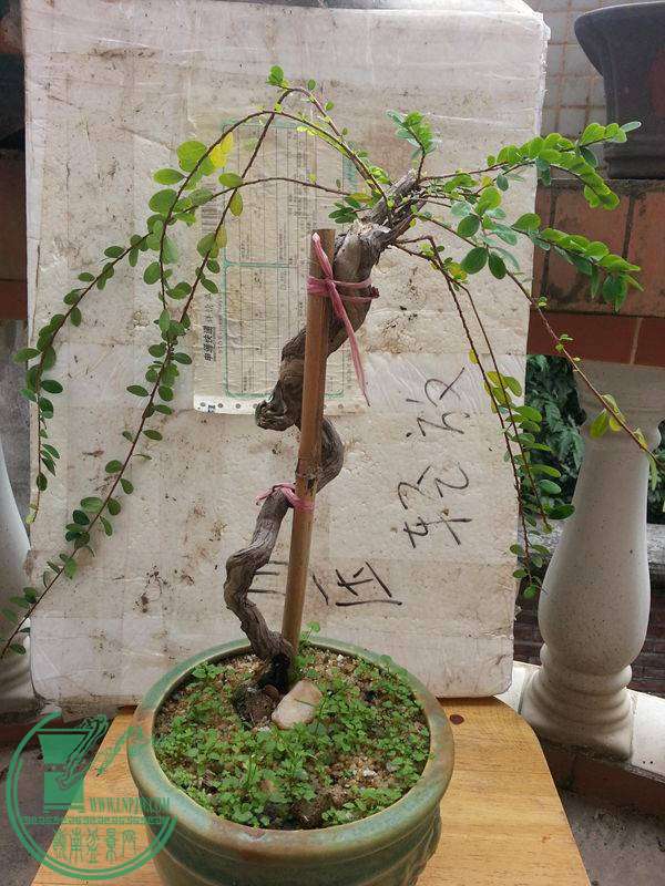 20141109_100734.jpg