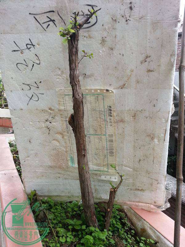 20141109_101351.jpg