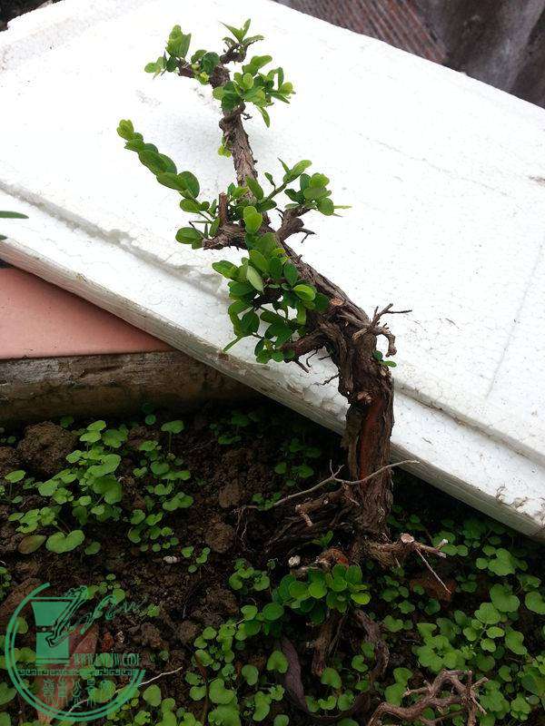 20141109_101430.jpg