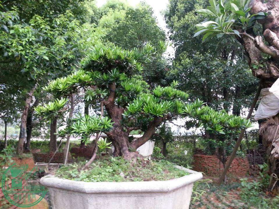 ͼƬղ20140621_145200.jpg