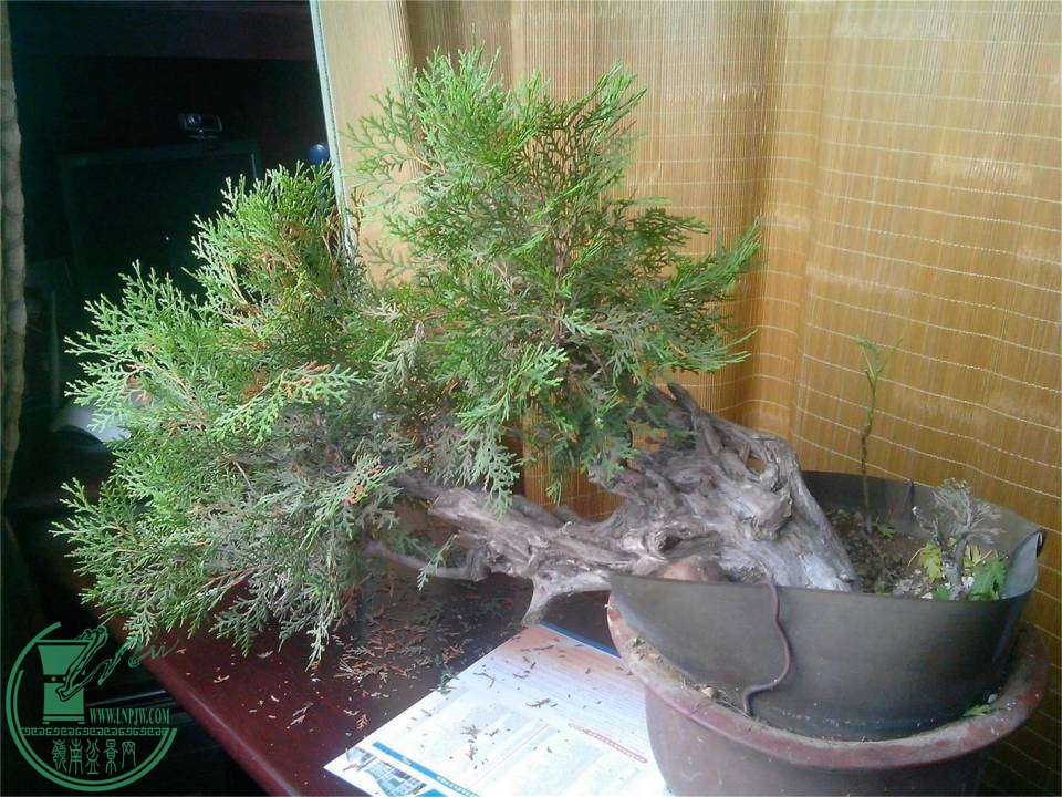 IMG20140813001_ͼ.jpg